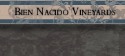 Bien Nacido Vineyards